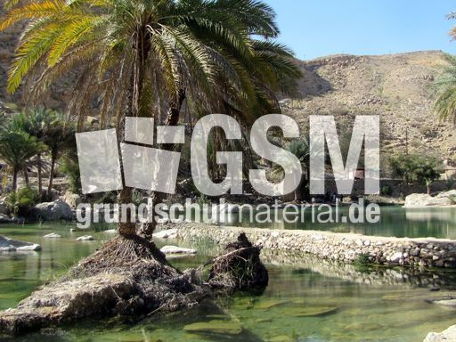 182 Wadi Bani Khalid.JPG